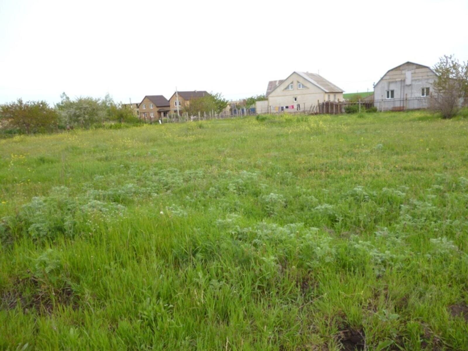 Земельный участок сельскохозяйственного назначения в Красноселке, площадь 180 соток фото 1