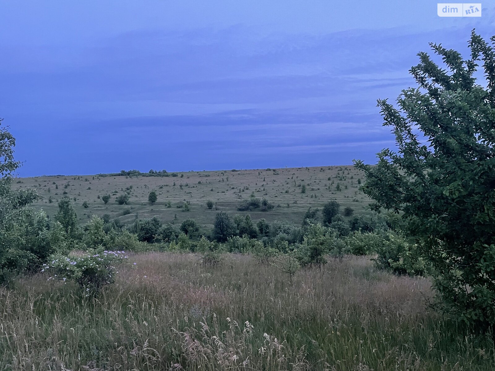 Земельна ділянка сільськогосподарського призначення в Конищеві, площа 180 Га фото 1