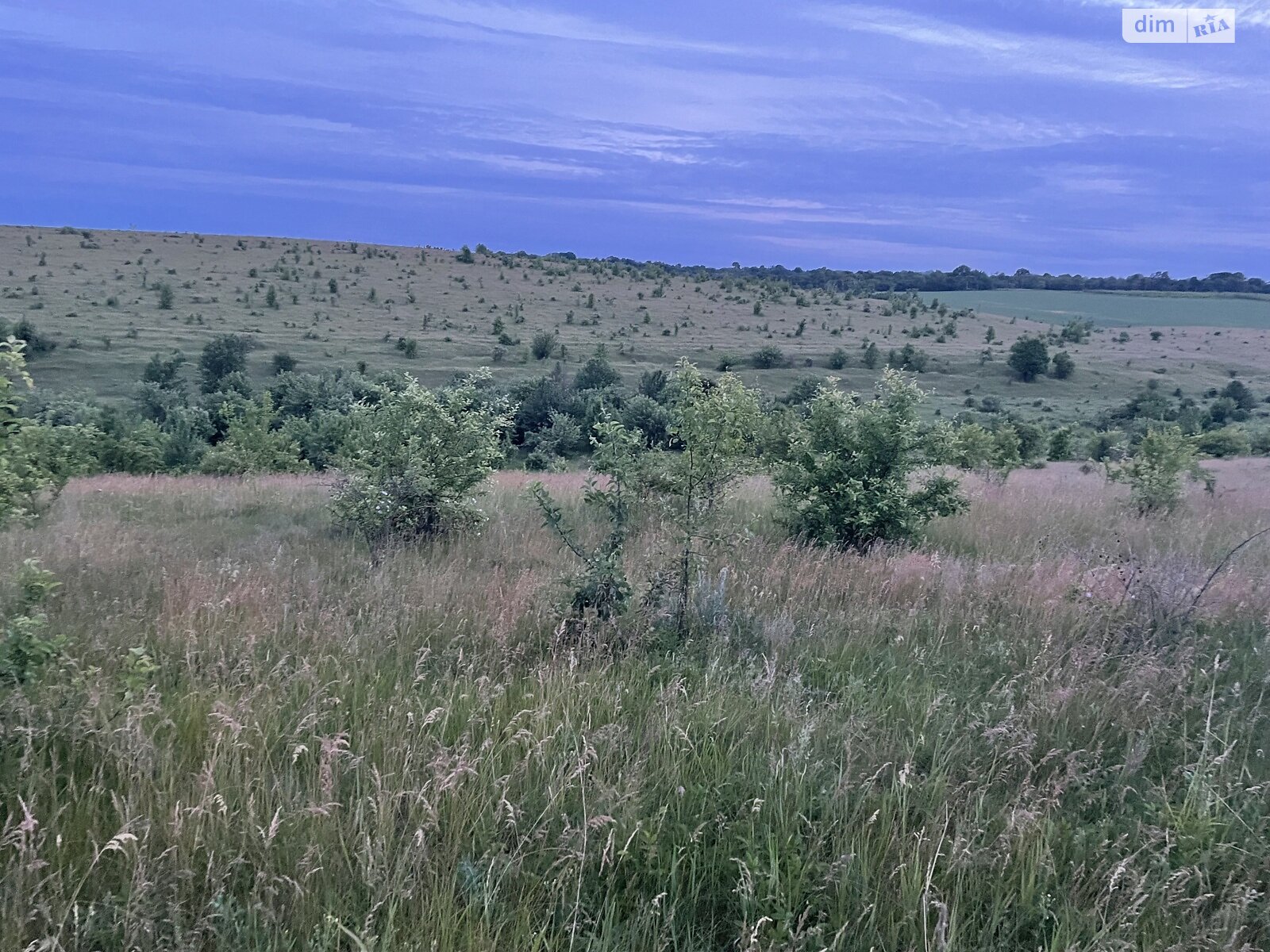 Земельный участок сельскохозяйственного назначения в Конищеве, площадь 180 Га фото 1