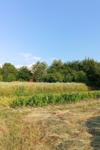 Земельный участок сельскохозяйственного назначения в Конопнице, площадь 6 соток фото 2 Земельный участок сельскохозяйственного назначения в Конопнице, площадь 6 соток фото 2