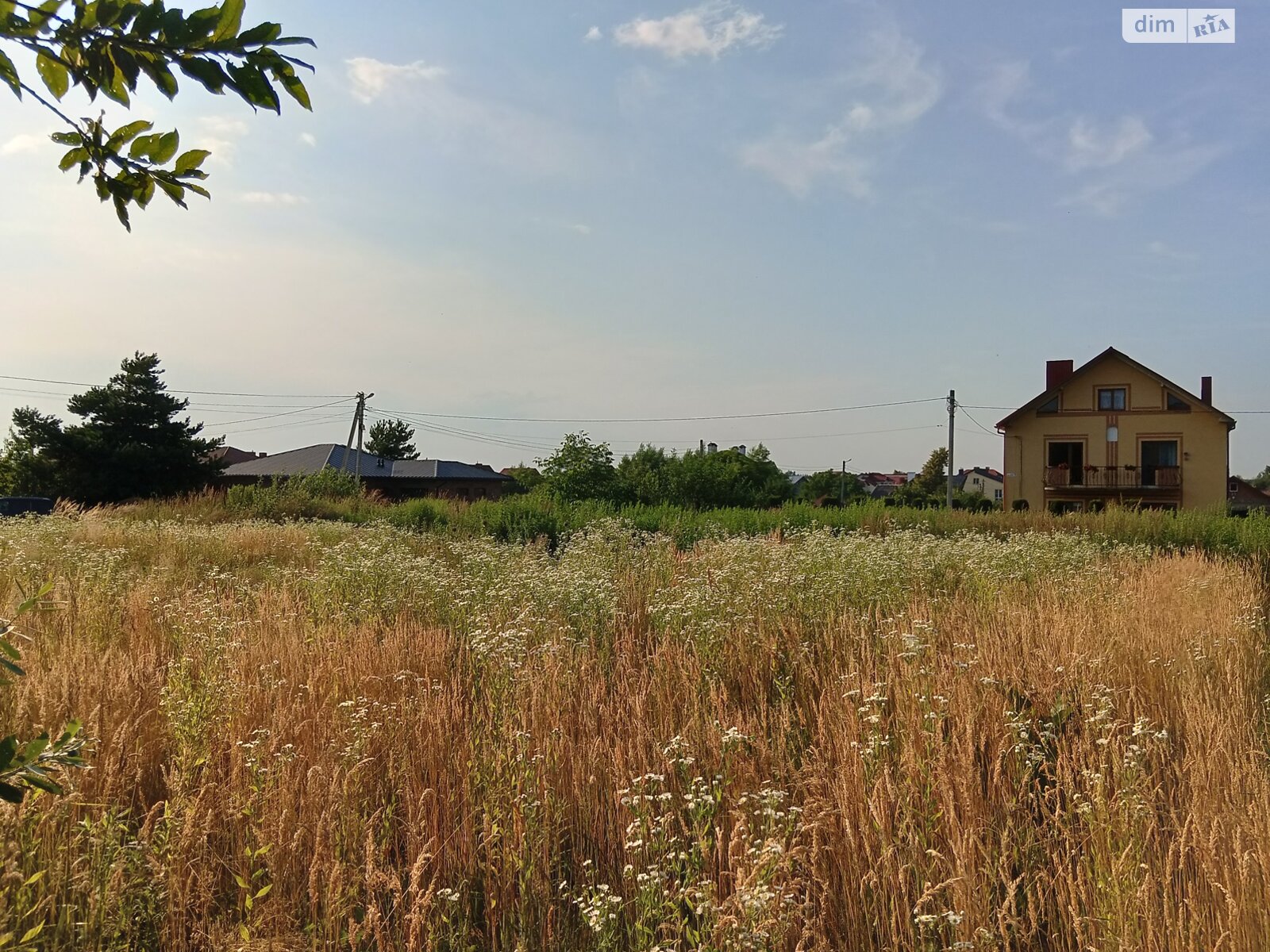 Земельный участок сельскохозяйственного назначения в Конопнице, площадь 6 соток фото 1 Земельный участок сельскохозяйственного назначения в Конопнице, площадь 6 соток фото 1