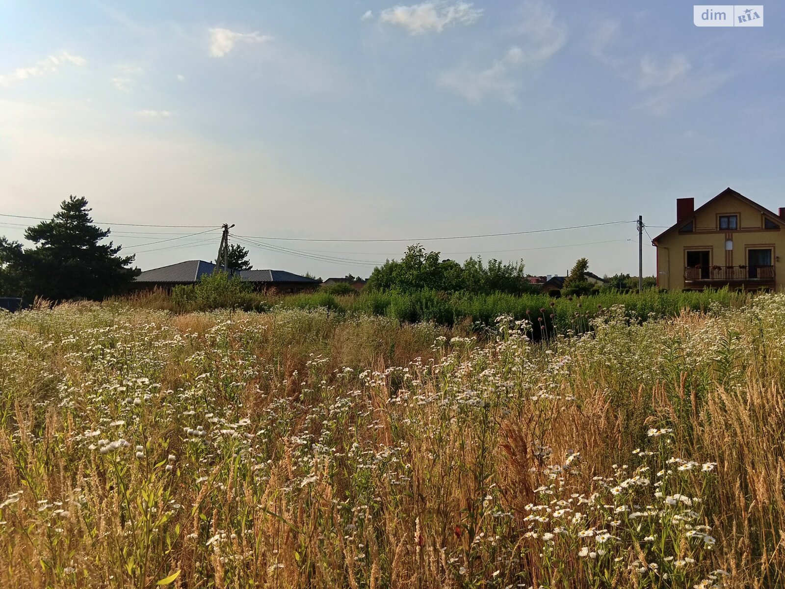 Земельный участок сельскохозяйственного назначения в Конопнице, площадь 6 соток фото 1 Земельный участок сельскохозяйственного назначения в Конопнице, площадь 6 соток фото 1