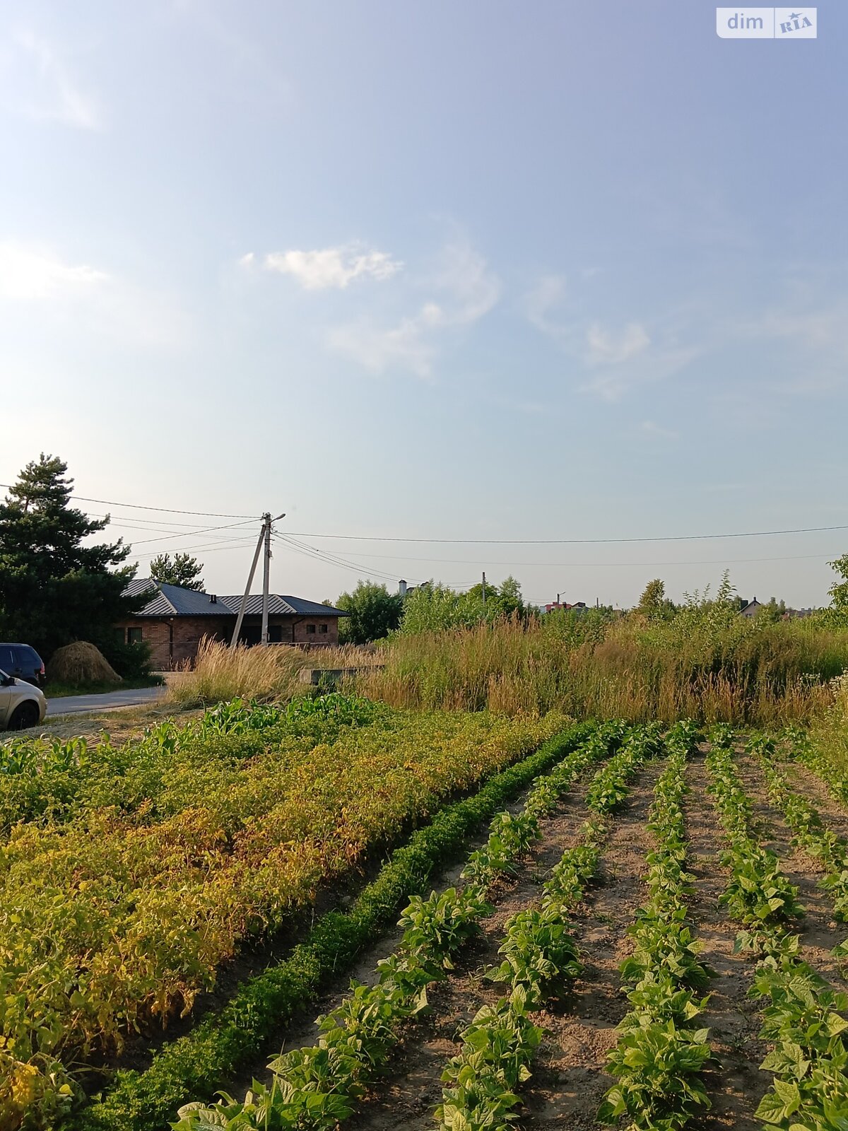 Земельный участок сельскохозяйственного назначения в Конопнице, площадь 6 соток фото 1 Земельный участок сельскохозяйственного назначения в Конопнице, площадь 6 соток фото 1
