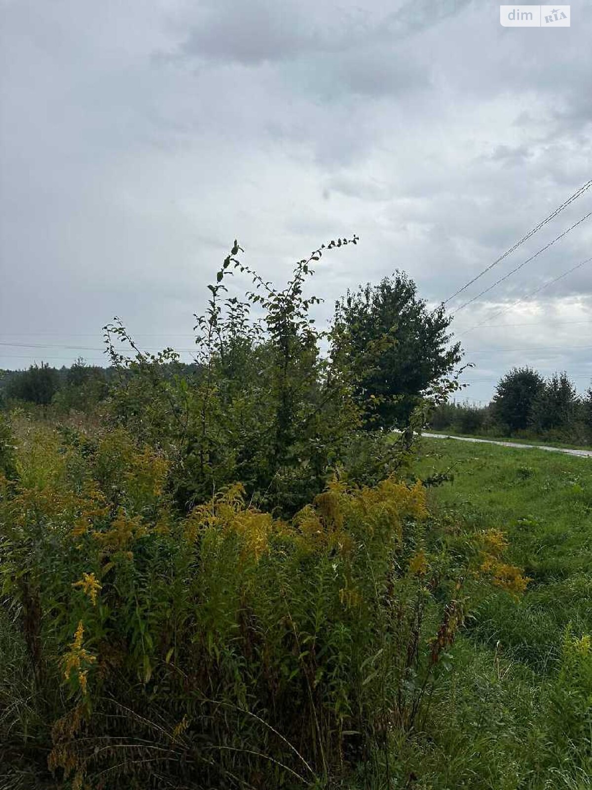 Земельный участок сельскохозяйственного назначения в Конопнице, площадь 10 соток фото 1 Земельный участок сельскохозяйственного назначения в Конопнице, площадь 10 соток фото 1