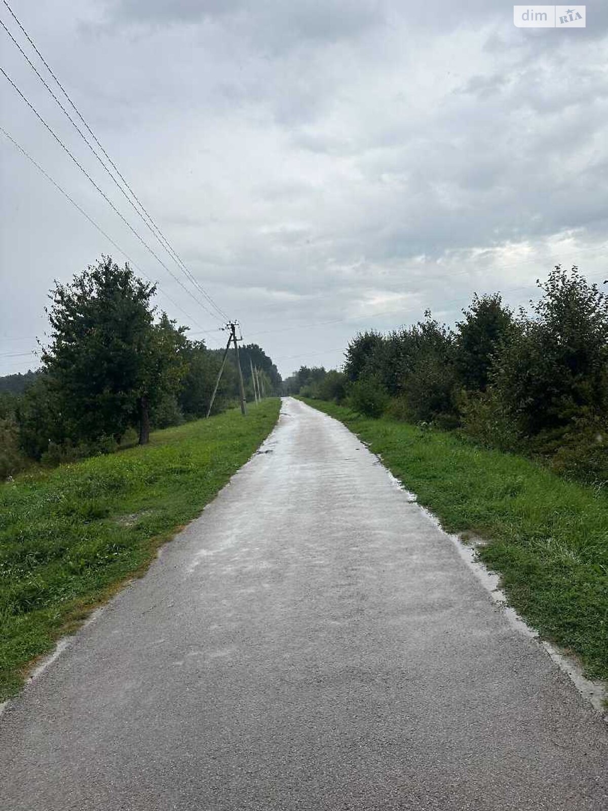 Земельный участок сельскохозяйственного назначения в Конопнице, площадь 10 соток фото 1 Земельный участок сельскохозяйственного назначения в Конопнице, площадь 10 соток фото 1