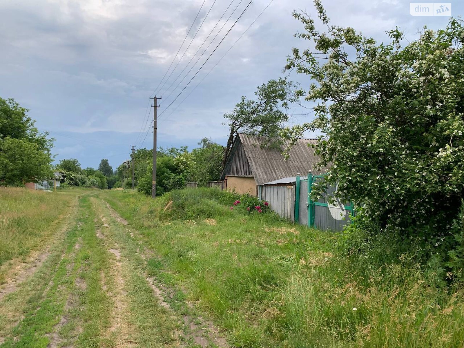 Земельный участок сельскохозяйственного назначения в Копачове, площадь 0.2782 Га фото 1