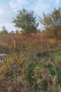 Земельна ділянка сільськогосподарського призначення в Копистиному, площа 12 соток фото 2