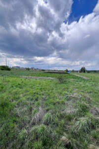 Земельна ділянка сільськогосподарського призначення в Копистиному, площа 16 соток фото 2