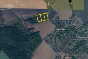 Земельна ділянка сільськогосподарського призначення в Коржівцях, площа 6 Га фото 1