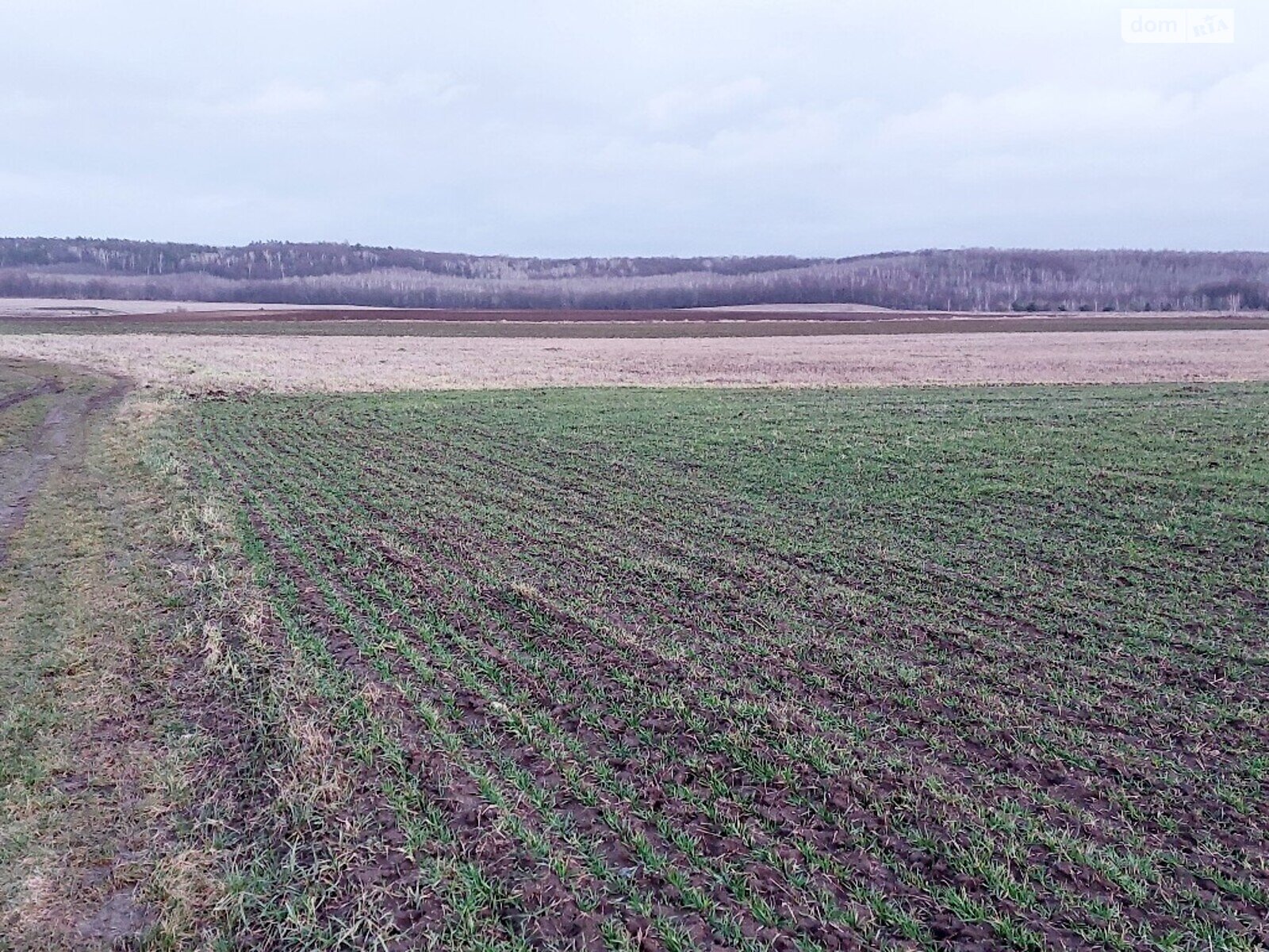 Земельна ділянка сільськогосподарського призначення в Корнині, площа 2 Га фото 1