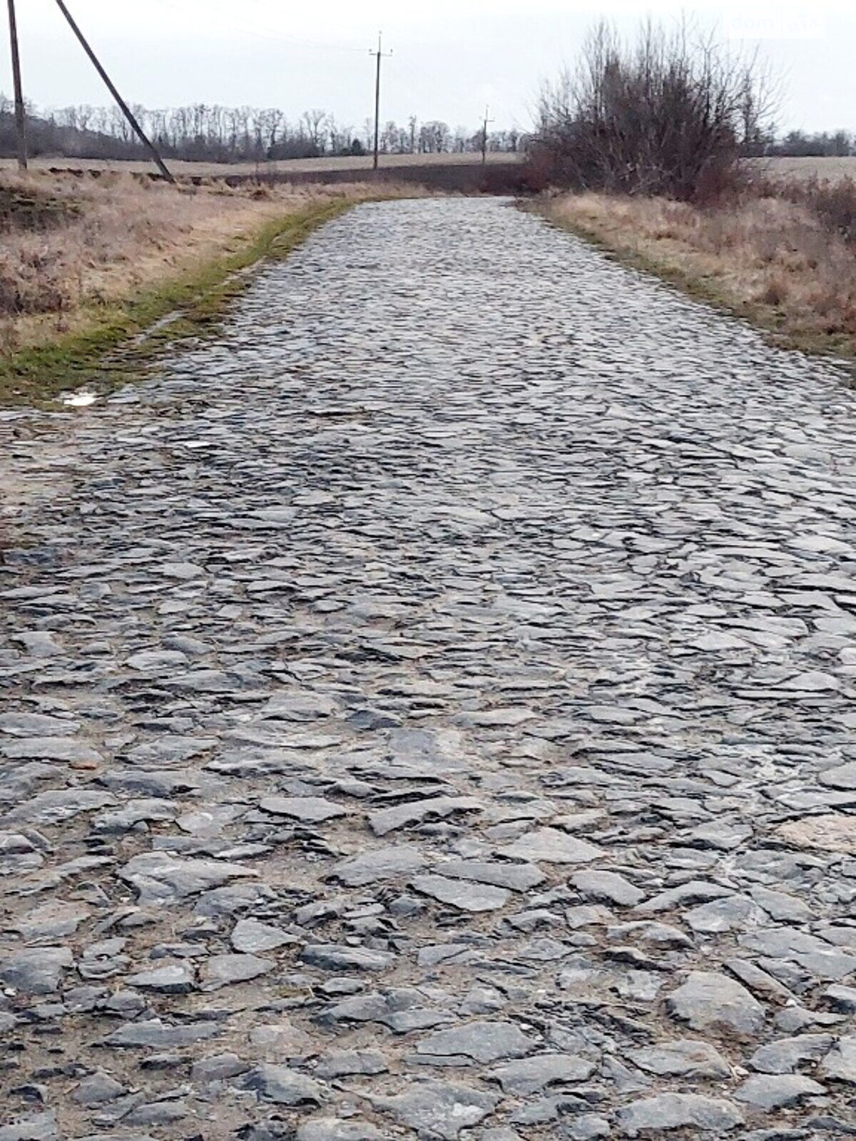 Земельна ділянка сільськогосподарського призначення в Корнині, площа 2 Га фото 1