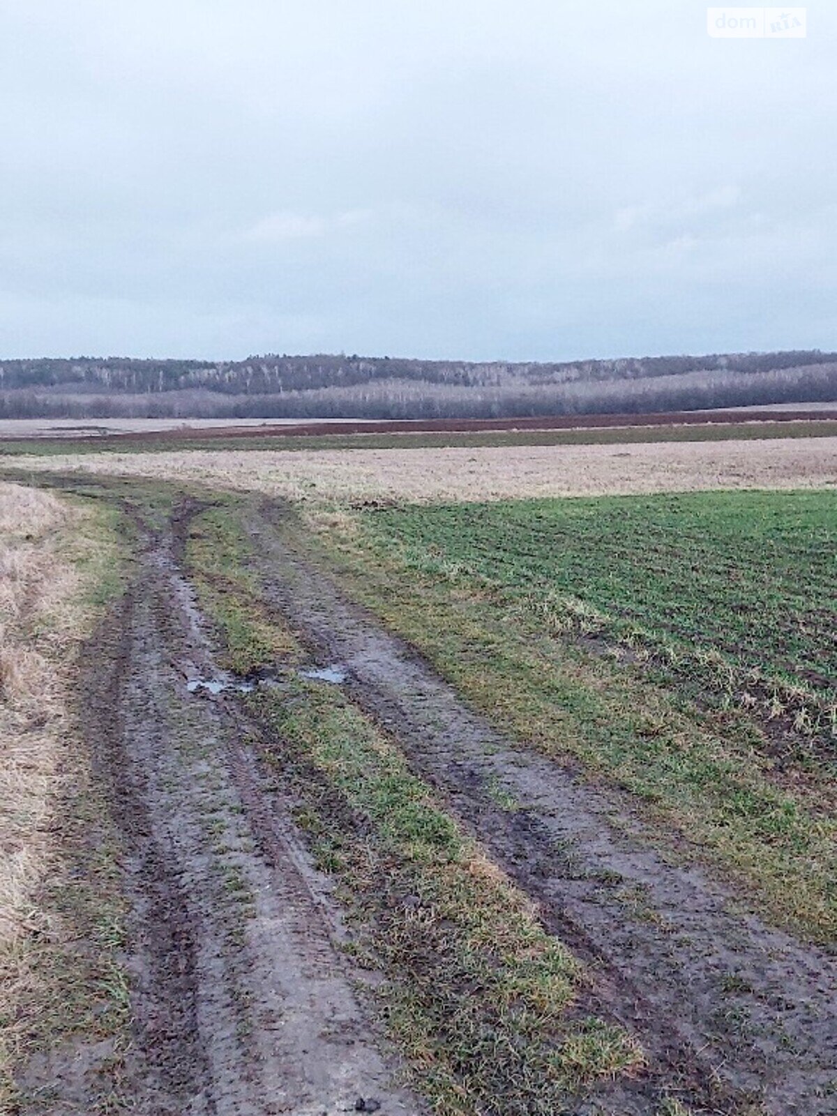 Земельна ділянка сільськогосподарського призначення в Корнині, площа 2 Га фото 1