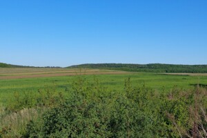 Земельный участок сельскохозяйственного назначения в Корнине, площадь 2 Га фото 2