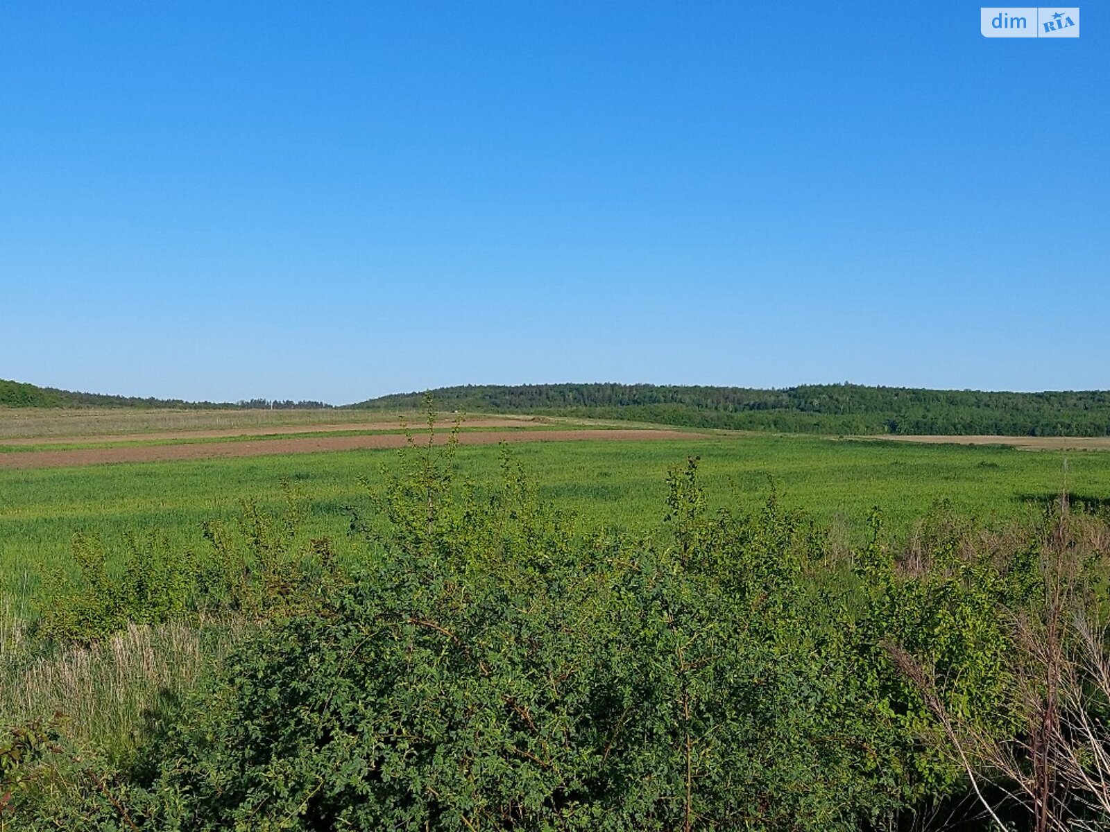 Земельный участок сельскохозяйственного назначения в Корнине, площадь 2 Га фото 1