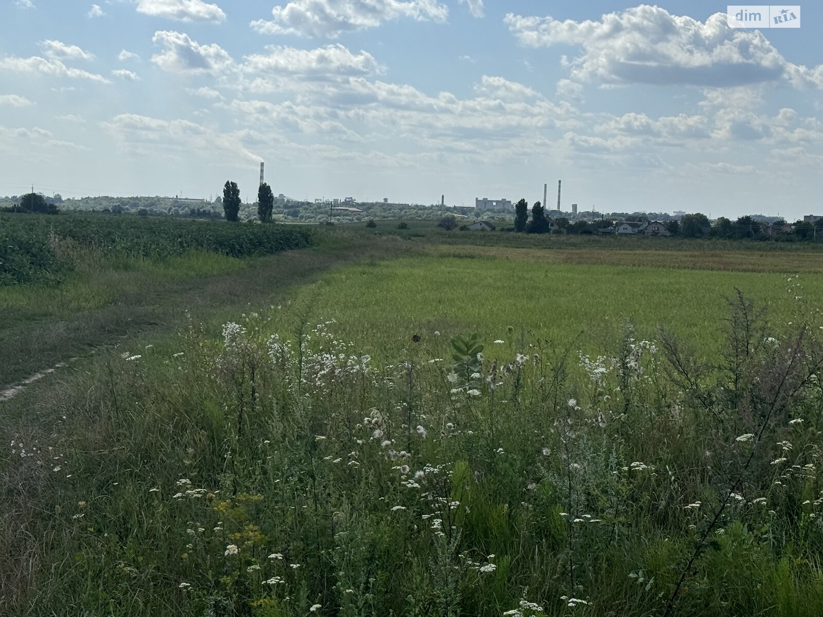 Земельна ділянка сільськогосподарського призначення в Корнині, площа 21.97 сотки фото 1