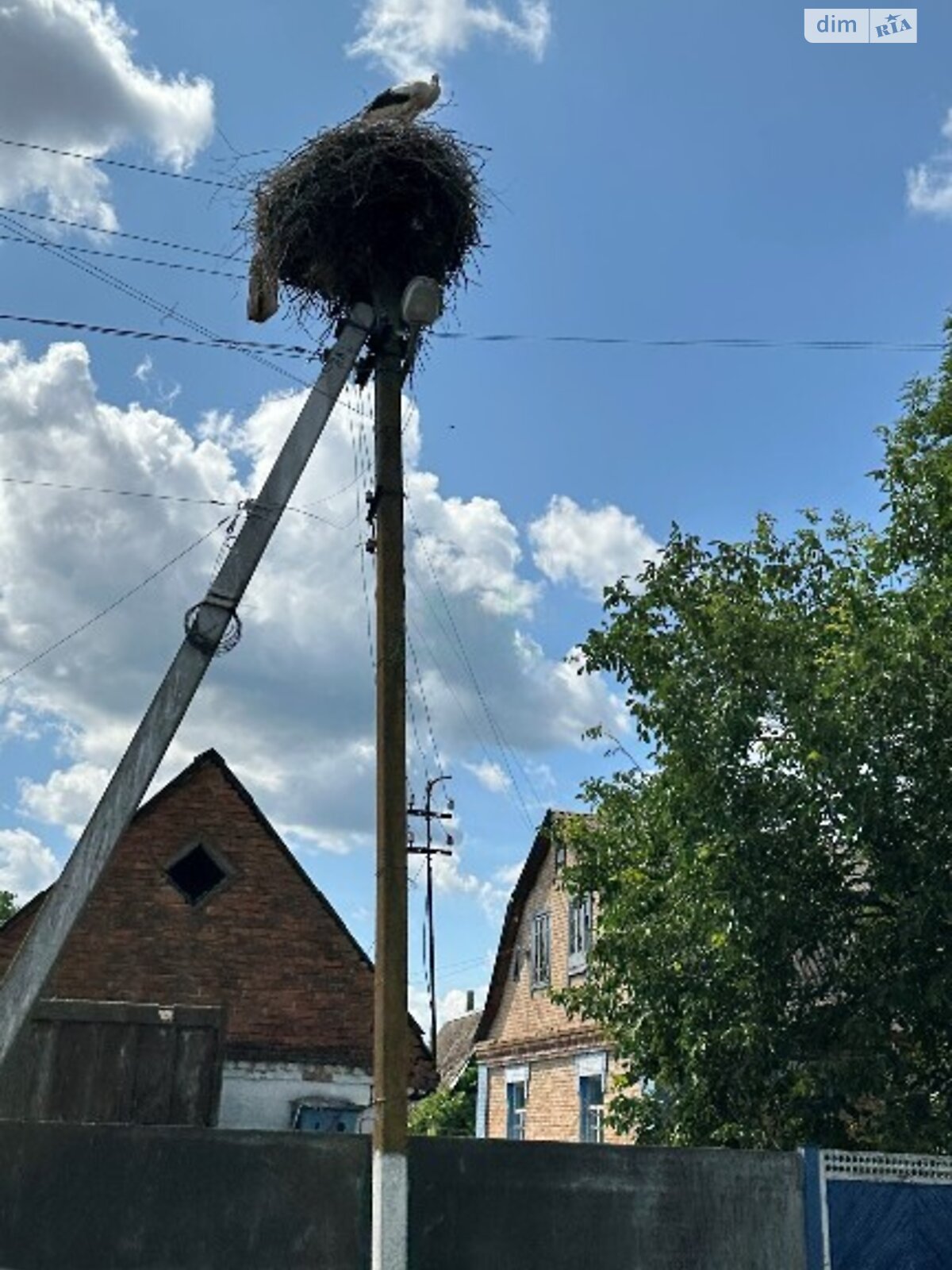 Земельный участок сельскохозяйственного назначения в Короловке, площадь 24 сотки фото 1