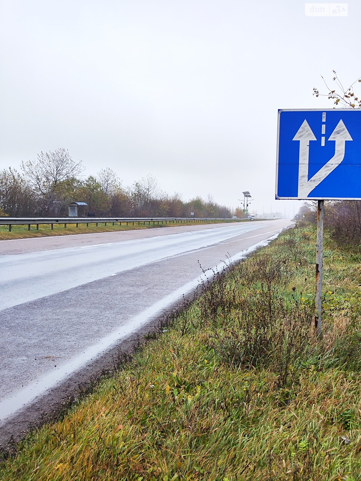 Земельный участок сельскохозяйственного назначения в Корысти, площадь 40.25 сотки фото 1