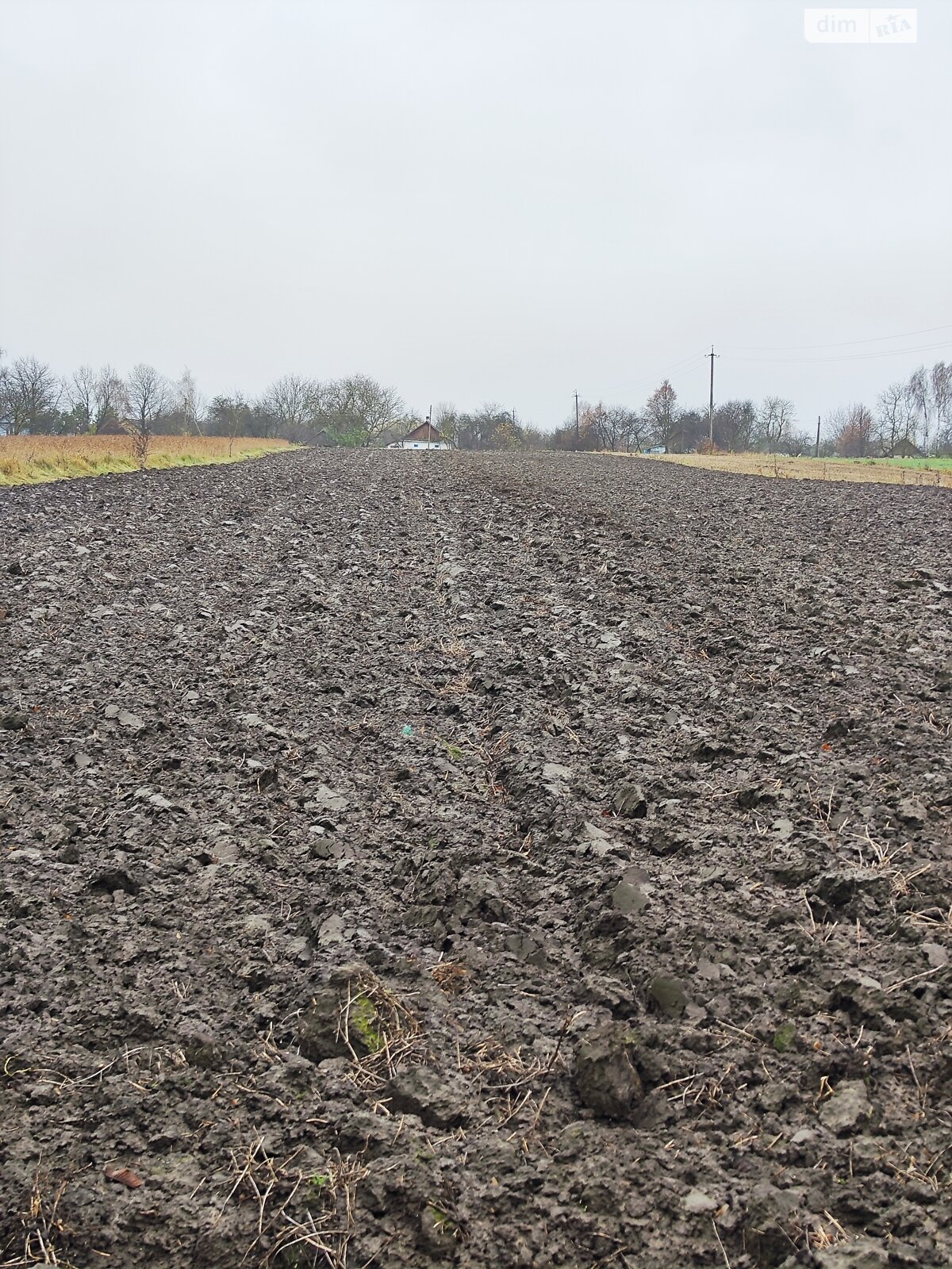 Земельный участок сельскохозяйственного назначения в Корысти, площадь 40.25 сотки фото 1