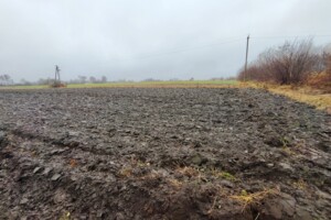 Земельный участок сельскохозяйственного назначения в Корысти, площадь 40.25 сотки фото 2