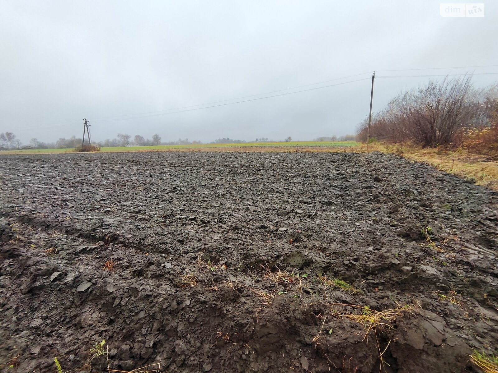 Земельный участок сельскохозяйственного назначения в Корысти, площадь 40.25 сотки фото 1