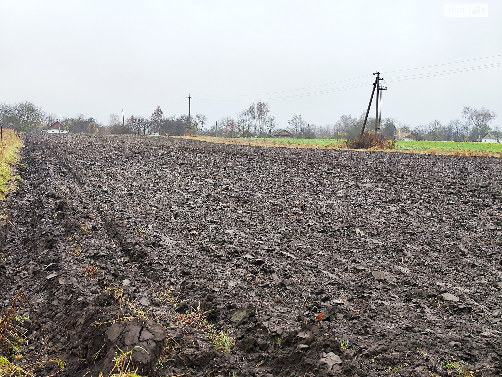 Земельный участок сельскохозяйственного назначения в Корысти, площадь 40.25 сотки фото 1