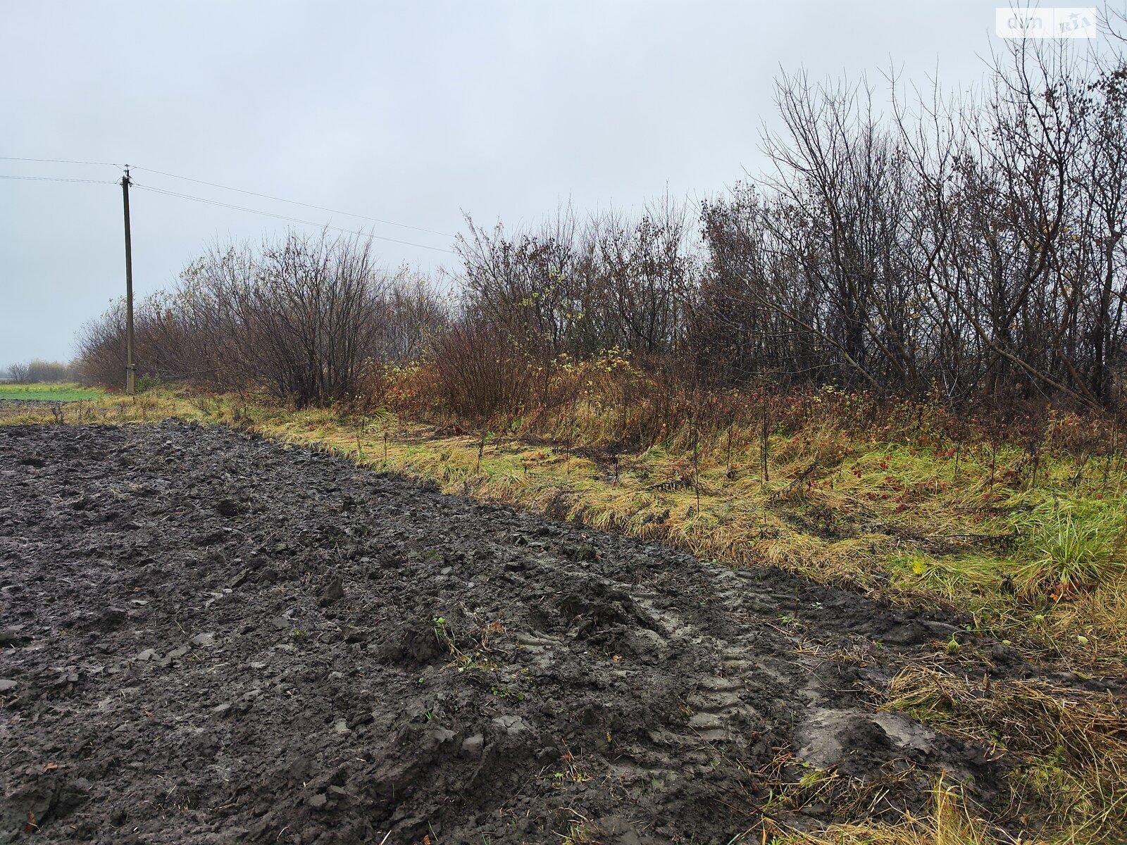 Земельный участок сельскохозяйственного назначения в Корысти, площадь 40.25 сотки фото 1