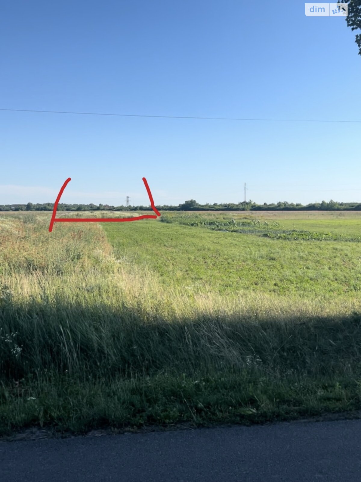 Земельна ділянка сільськогосподарського призначення в Коритняни, площа 33 сотки фото 1