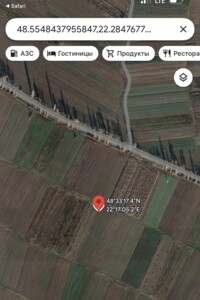 Земельна ділянка сільськогосподарського призначення в Коритняни, площа 33 сотки фото 2