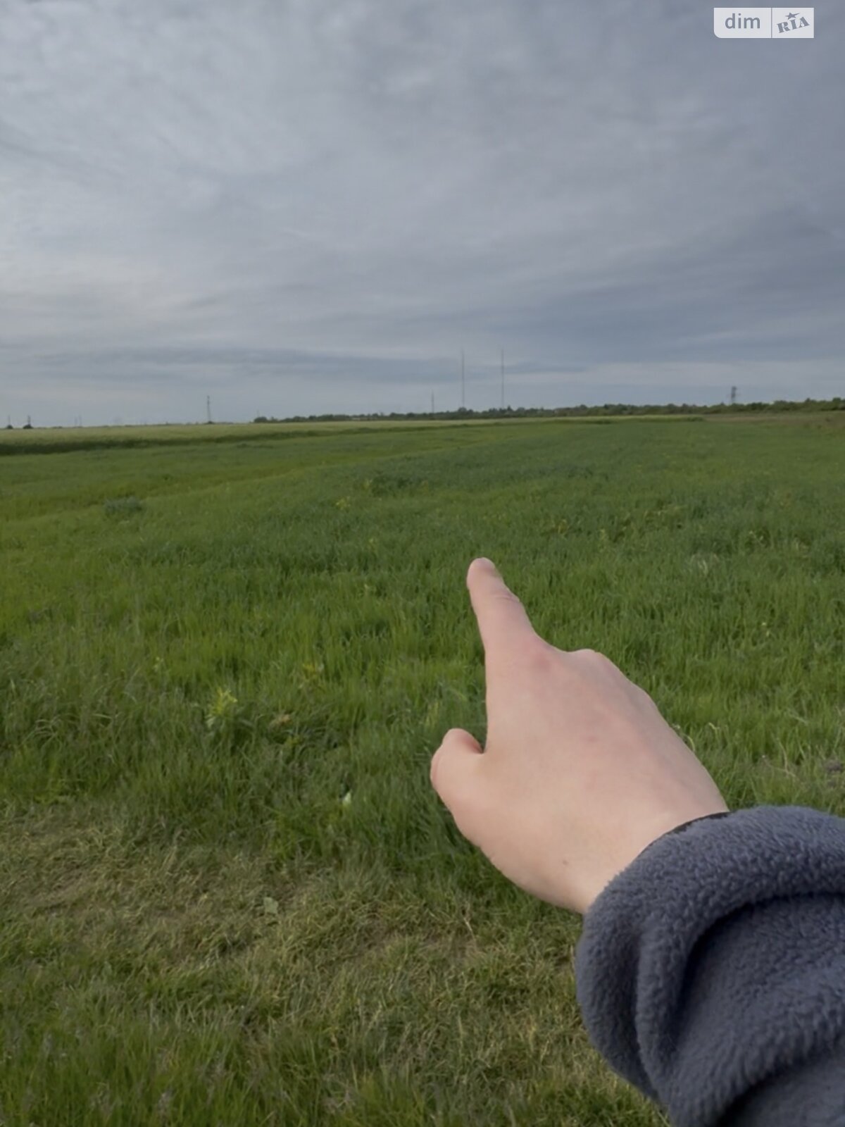 Земельна ділянка сільськогосподарського призначення в Коритняни, площа 33 сотки фото 1