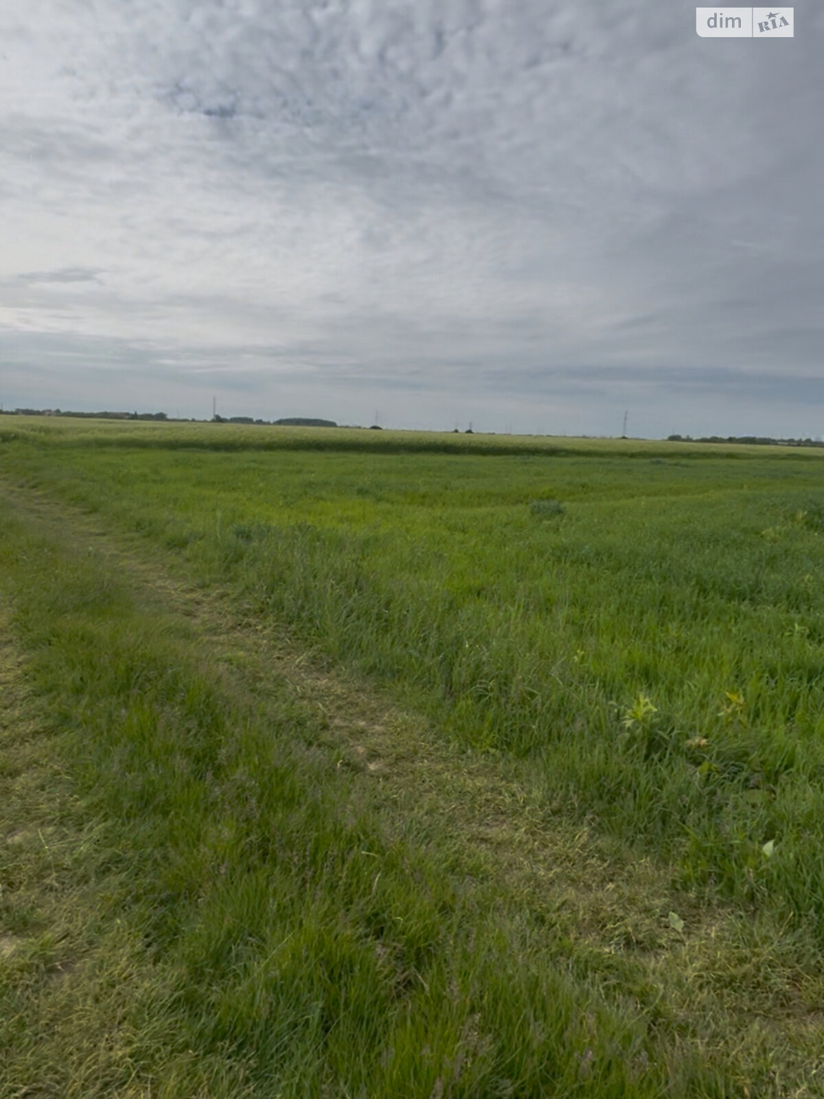 Земельна ділянка сільськогосподарського призначення в Коритняни, площа 33 сотки фото 1