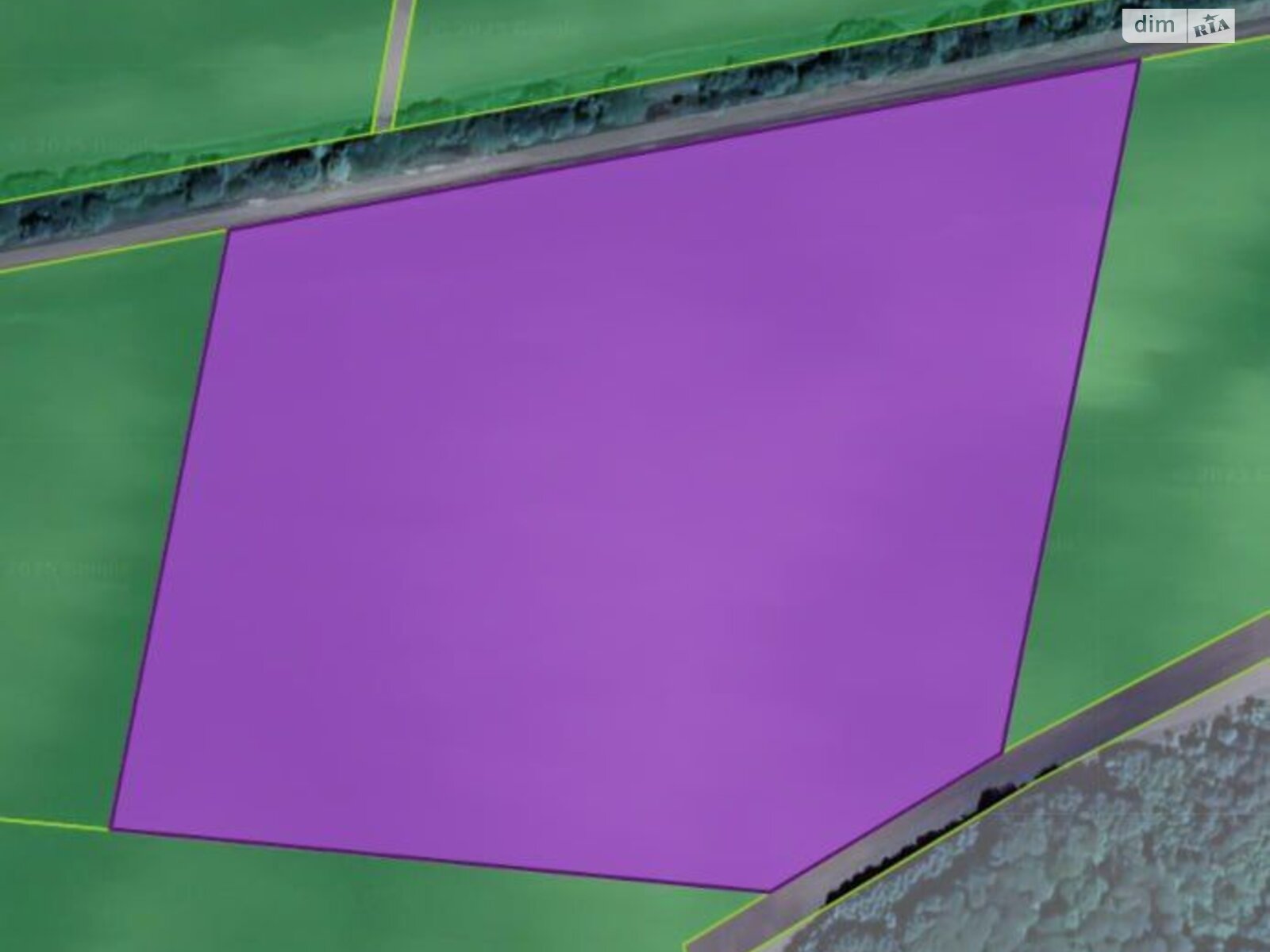 Земельна ділянка сільськогосподарського призначення в Коськові, площа 4.2636 Га фото 1