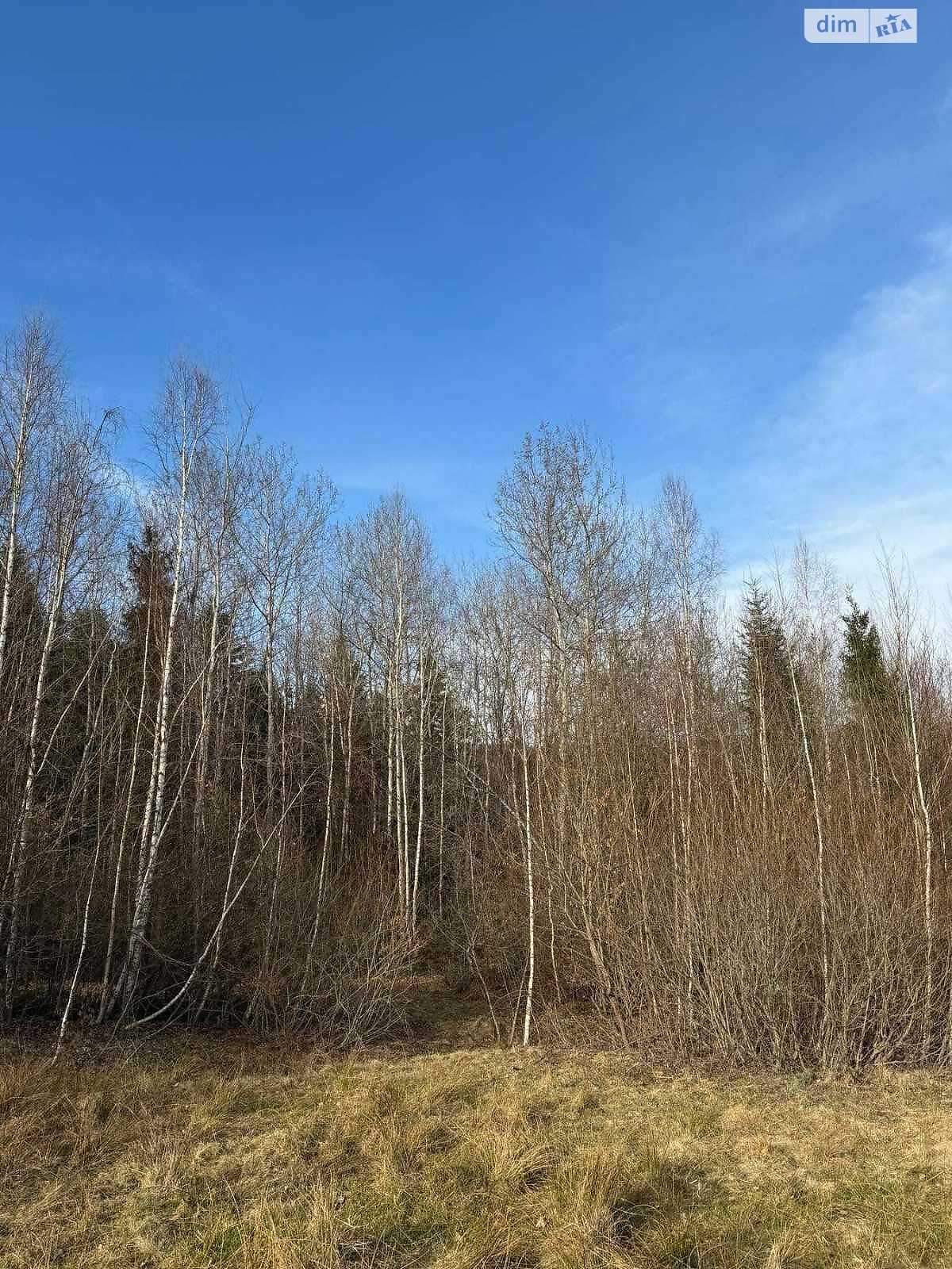 Земельна ділянка сільськогосподарського призначення в Косові, площа 17 соток фото 1 Земельна ділянка сільськогосподарського призначення в Косові, площа 17 соток фото 1