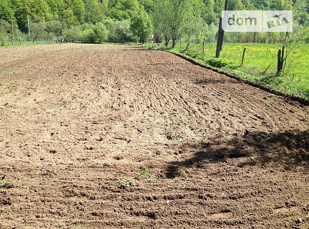 Продаж землі сільськогосподарського призначення, Івано-Франківська, Косів, c. Розтоки, Головна Продаж землі сільськогосподарського призначення, Івано-Франківська, Косів, c. Розтоки, Головна