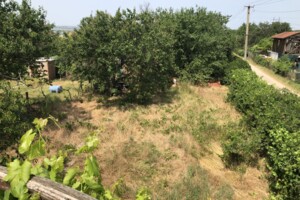 Земельна ділянка сільськогосподарського призначення в Костянтинівці, площа 4 сотки фото 2