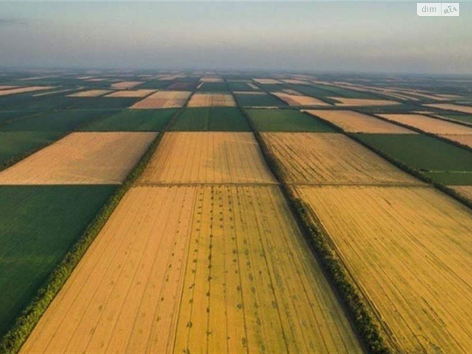 Земельна ділянка сільськогосподарського призначення в Котовці, площа 240 соток фото 1
