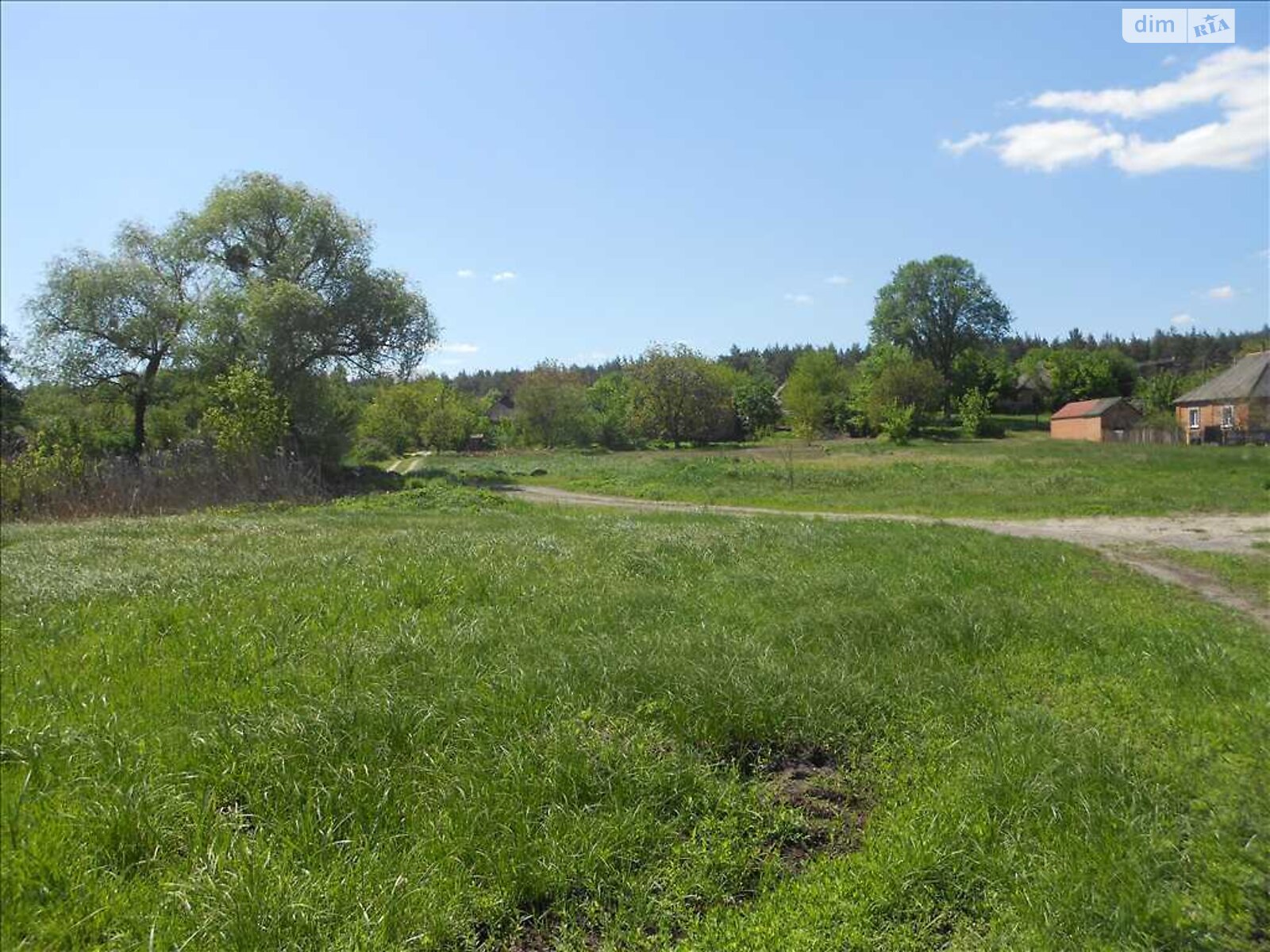 Земельна ділянка сільськогосподарського призначення в Ковалівці, площа 12 соток фото 1