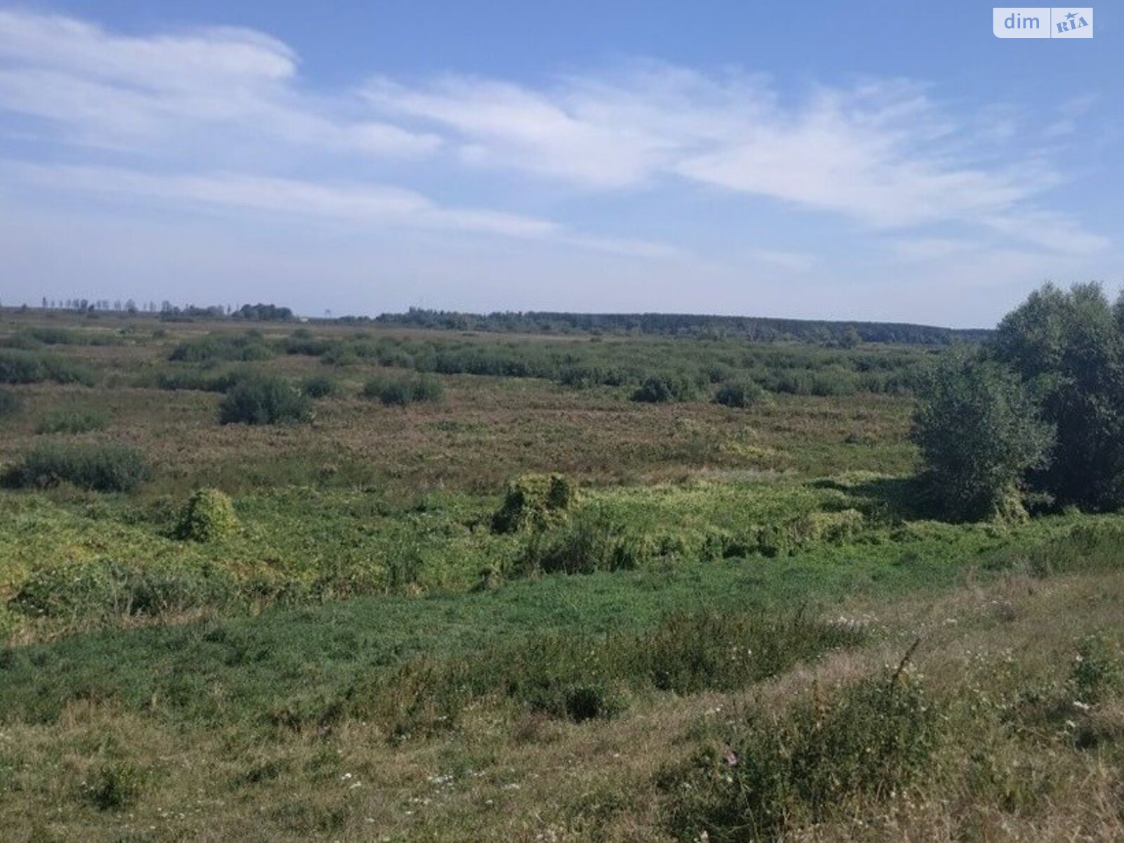 Земельный участок сельскохозяйственного назначения в Козаровичах, площадь 10 соток фото 1