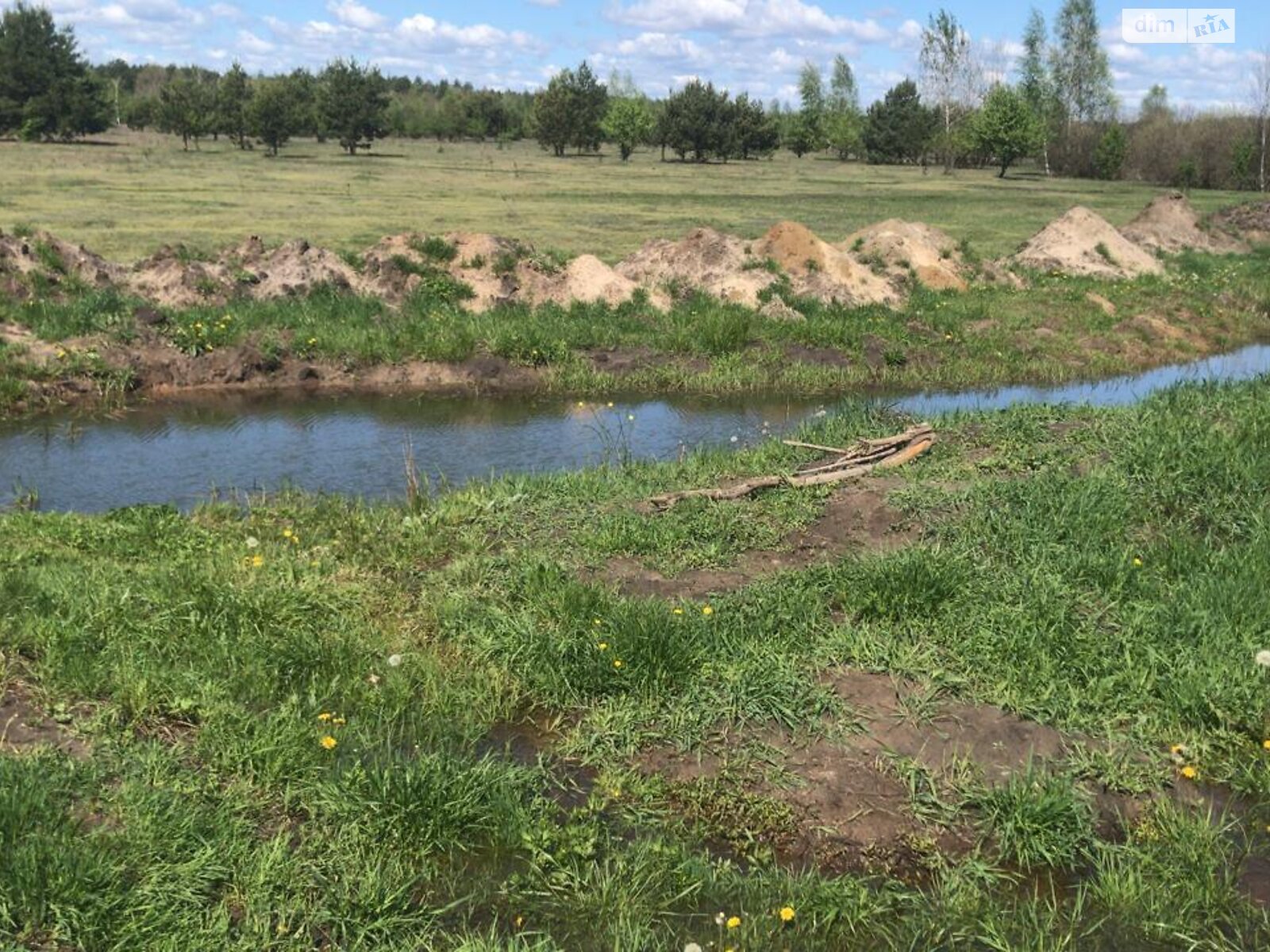 Земельна ділянка сільськогосподарського призначення в Козинцях, площа 200 соток фото 1 Земельна ділянка сільськогосподарського призначення в Козинцях, площа 200 соток фото 1