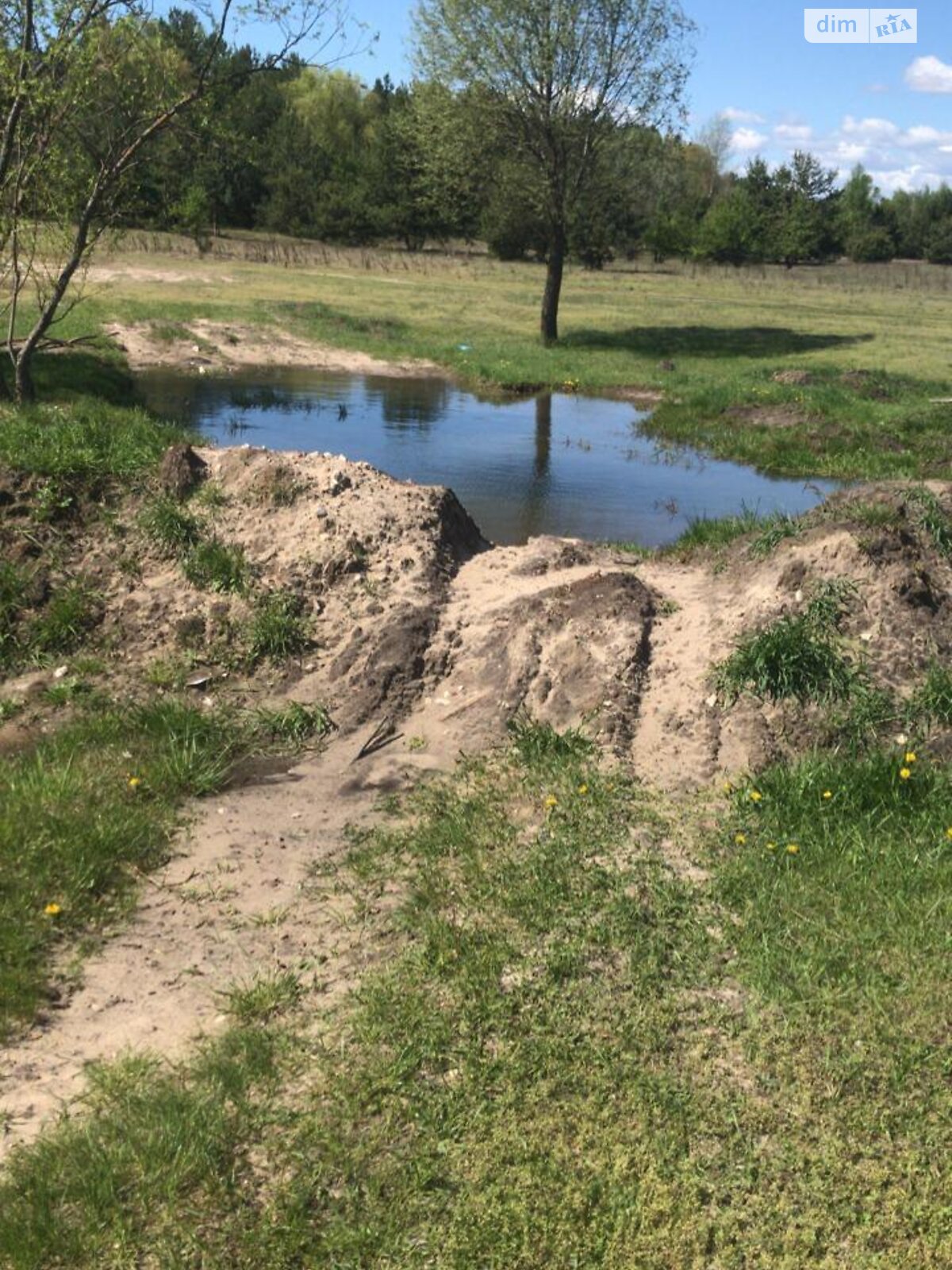 Земельна ділянка сільськогосподарського призначення в Козинцях, площа 200 соток фото 1 Земельна ділянка сільськогосподарського призначення в Козинцях, площа 200 соток фото 1