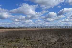 Земельный участок сельскохозяйственного назначения в Красиловке, площадь 1.4863 Га фото 2