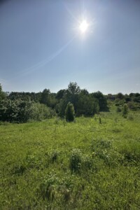 Земельна ділянка сільськогосподарського призначення в Красному, площа 6 соток фото 2