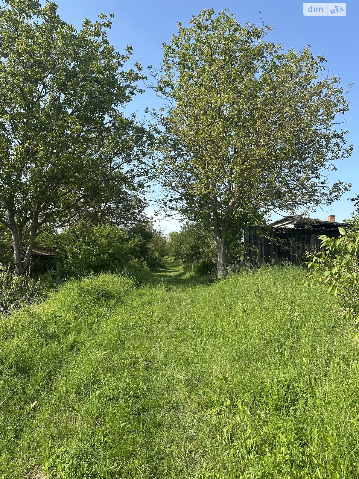 Земельна ділянка сільськогосподарського призначення в Красному, площа 6 соток фото 1 Земельна ділянка сільськогосподарського призначення в Красному, площа 6 соток фото 1