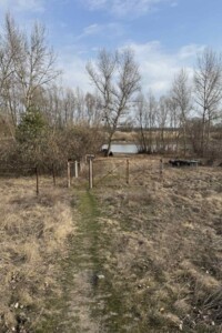 Земельна ділянка сільськогосподарського призначення в Хрещатику, площа 6 соток фото 2