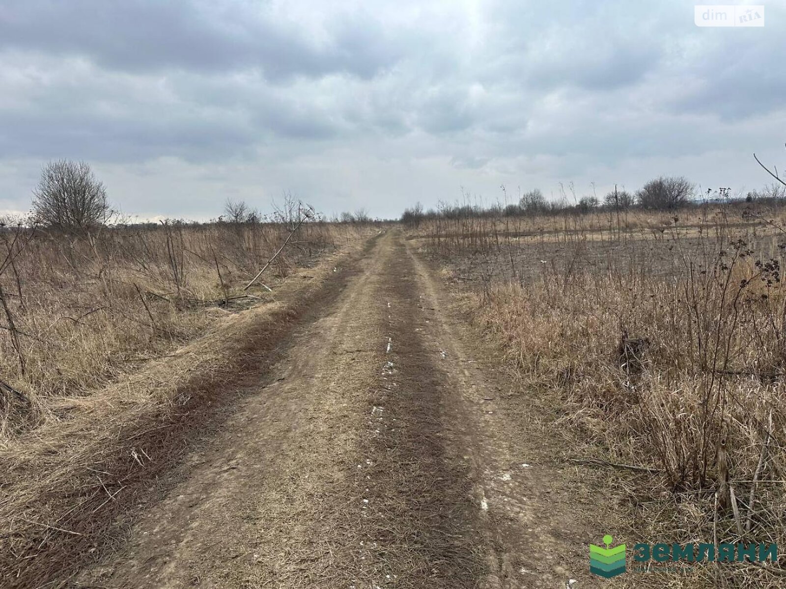 Земельна ділянка сільськогосподарського призначення в Крихівцях, площа 8.16 сотки фото 1 Земельна ділянка сільськогосподарського призначення в Крихівцях, площа 8.16 сотки фото 1