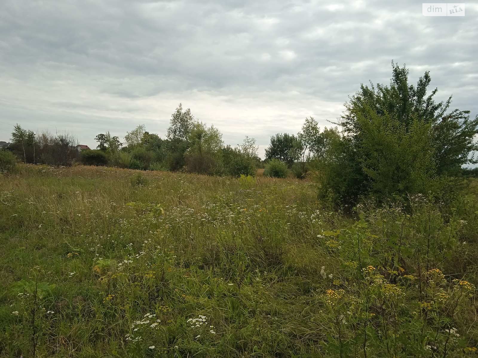 Земельна ділянка сільськогосподарського призначення в Крихівцях, площа 10 соток фото 1 Земельна ділянка сільськогосподарського призначення в Крихівцях, площа 10 соток фото 1