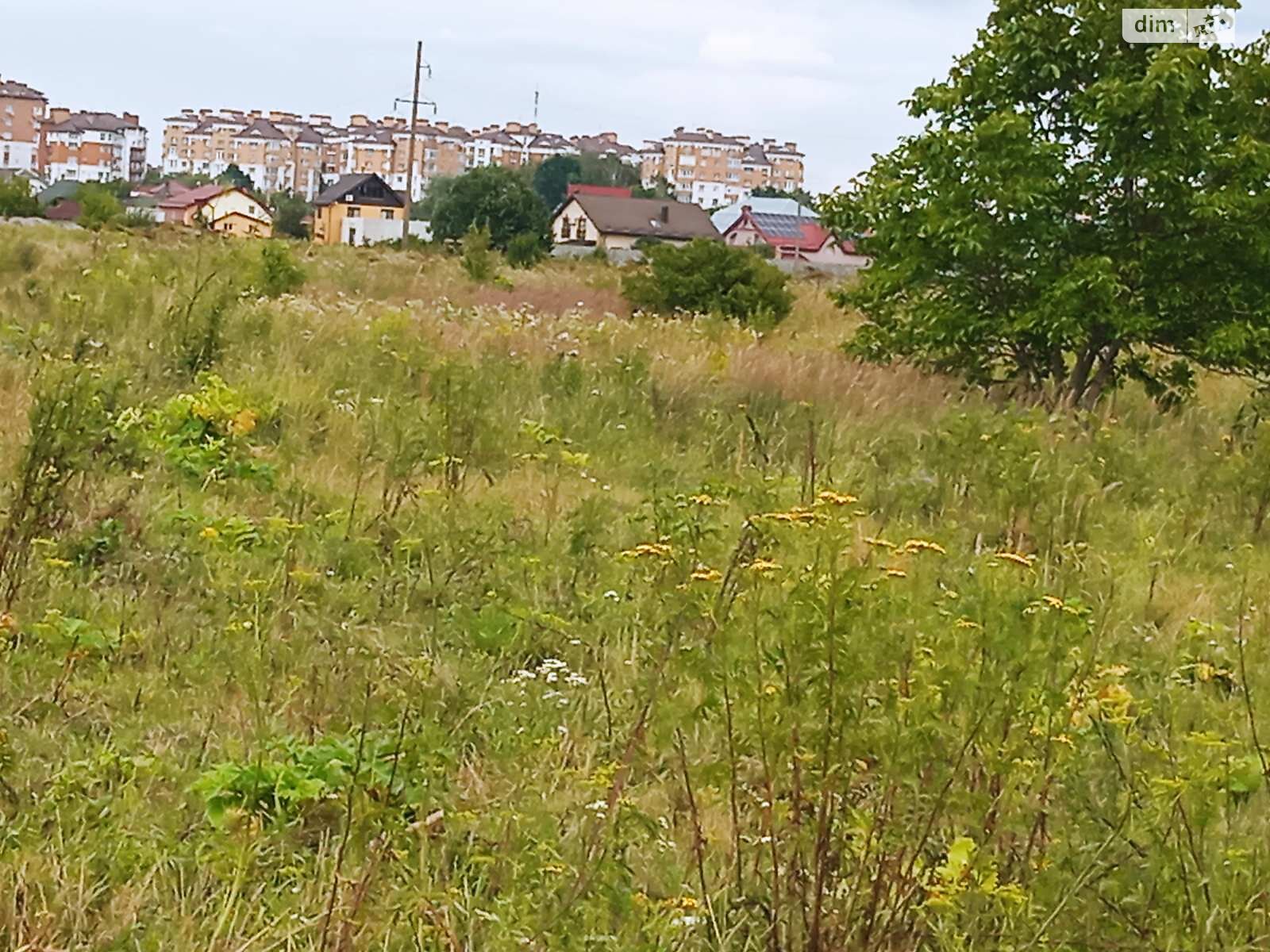 Земельна ділянка сільськогосподарського призначення в Крихівцях, площа 10 соток фото 1 Земельна ділянка сільськогосподарського призначення в Крихівцях, площа 10 соток фото 1