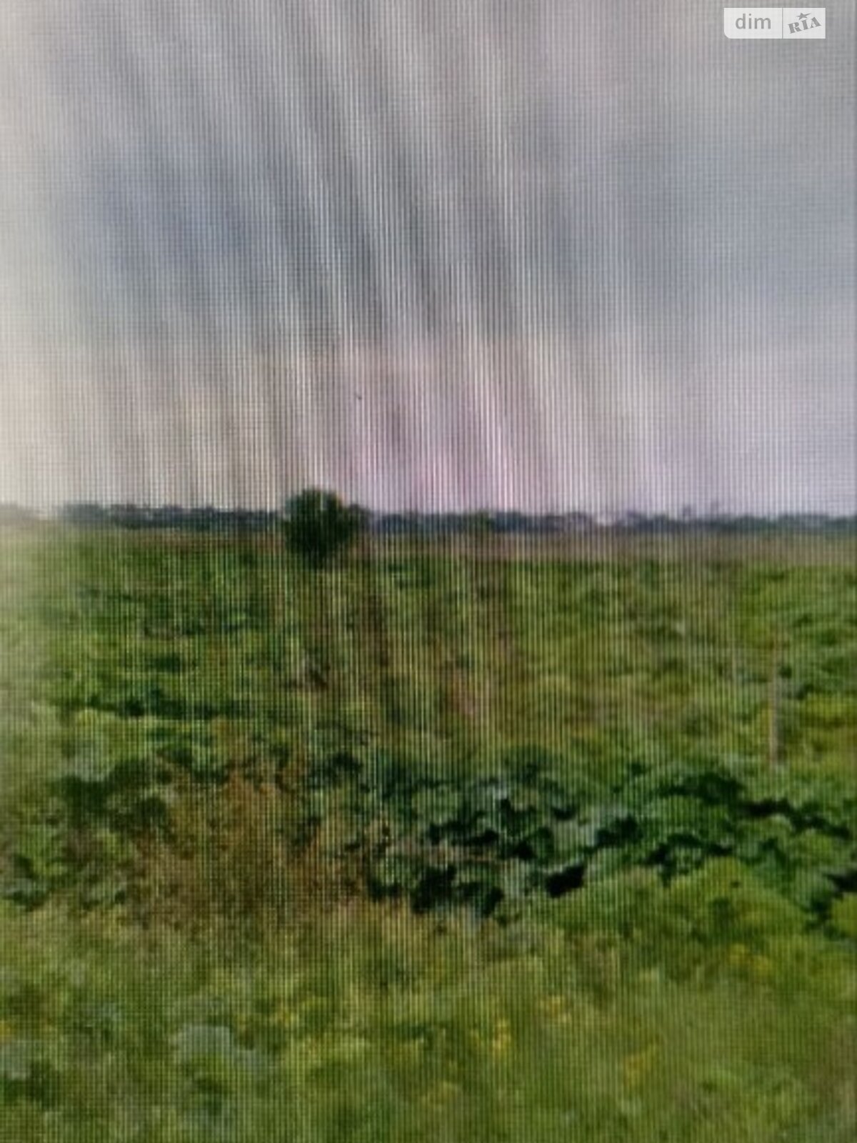 Земельный участок сельскохозяйственного назначения в Криховцах, площадь 4.7 сотки фото 1