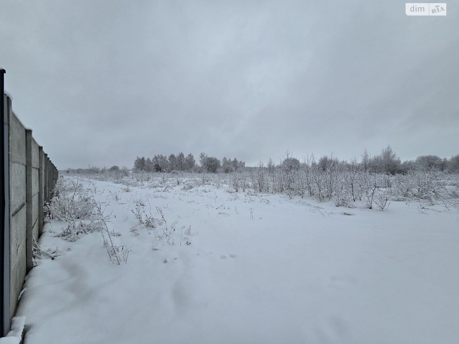 Земельный участок сельскохозяйственного назначения в Криховцах, площадь 51 сотка фото 1 Земельный участок сельскохозяйственного назначения в Криховцах, площадь 51 сотка фото 1