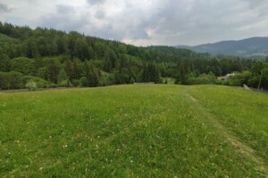 Земельна ділянка сільськогосподарського призначення в Кривопіллі, площа 140 соток фото 2
