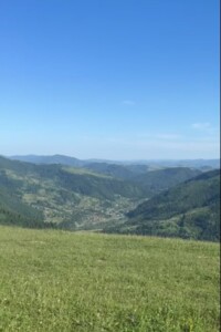 Земельна ділянка сільськогосподарського призначення в Криворівні, площа 200 соток фото 2